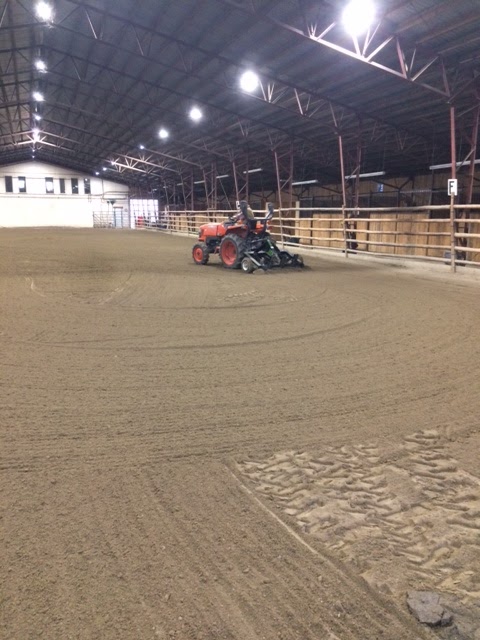 ProHorse | 30301, Range Rd 52, AB T0M 2E1, Canada | Phone: (587) 436-5572