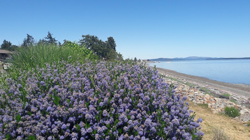 Lochside Waterfront Park | Lochside Dr, North Saanich, BC V8L 1N5, Canada