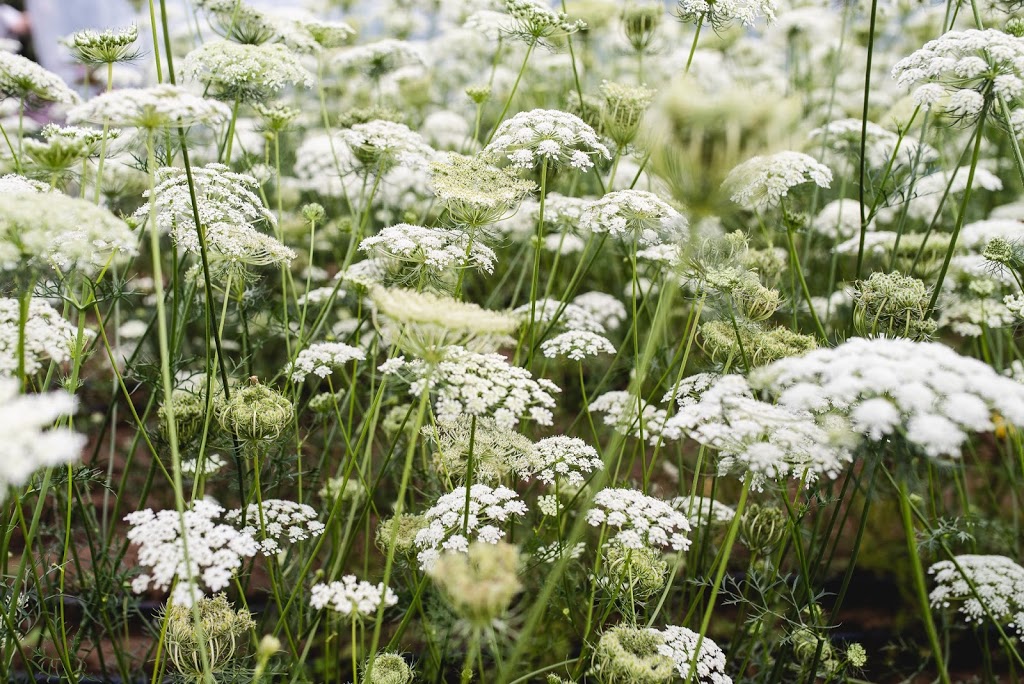 Les Jardins de lécoumène | 2855 Chemin de lÉcoumène, Saint-Damien, QC J0K 2E0, Canada | Phone: (450) 835-1149