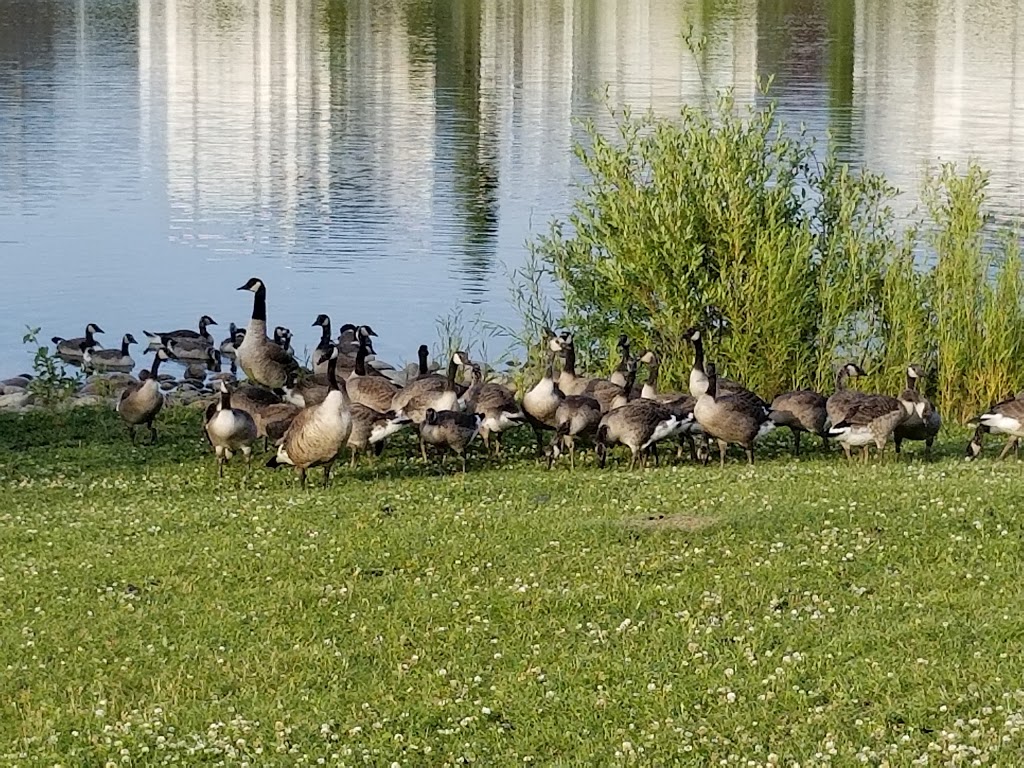 Carlton Lake | 15702 135 St NW, Edmonton, AB T6V 1P6, Canada