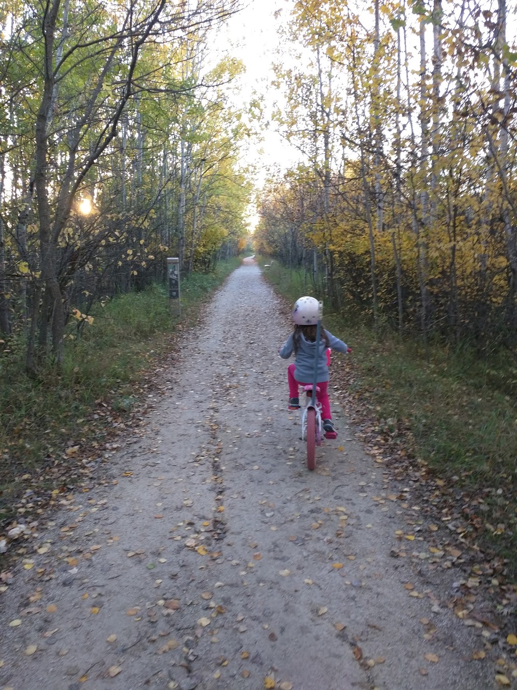 Marj Edey Park | Ridgewood South, Winnipeg, MB R3R, Canada