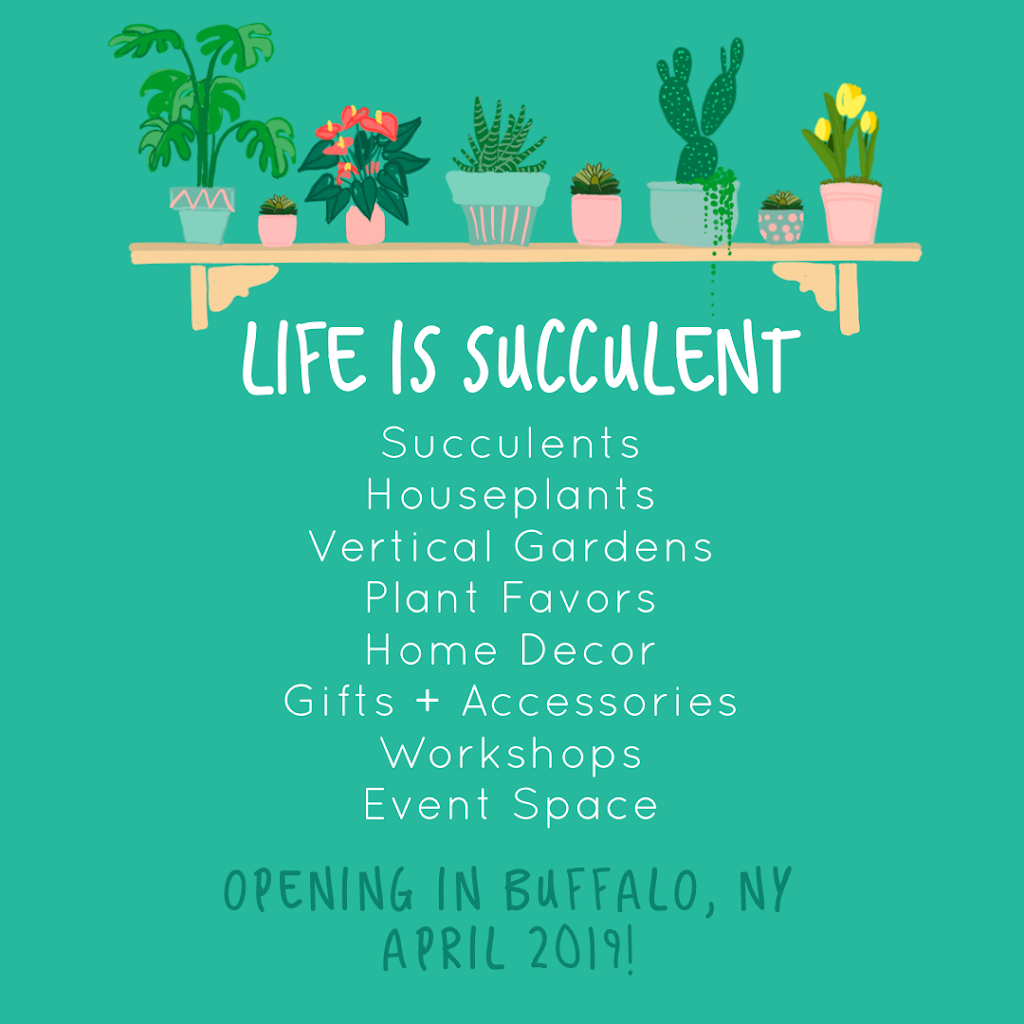 Life is Succulent | 1249 Eggert Rd, Amherst, NY 14226, USA