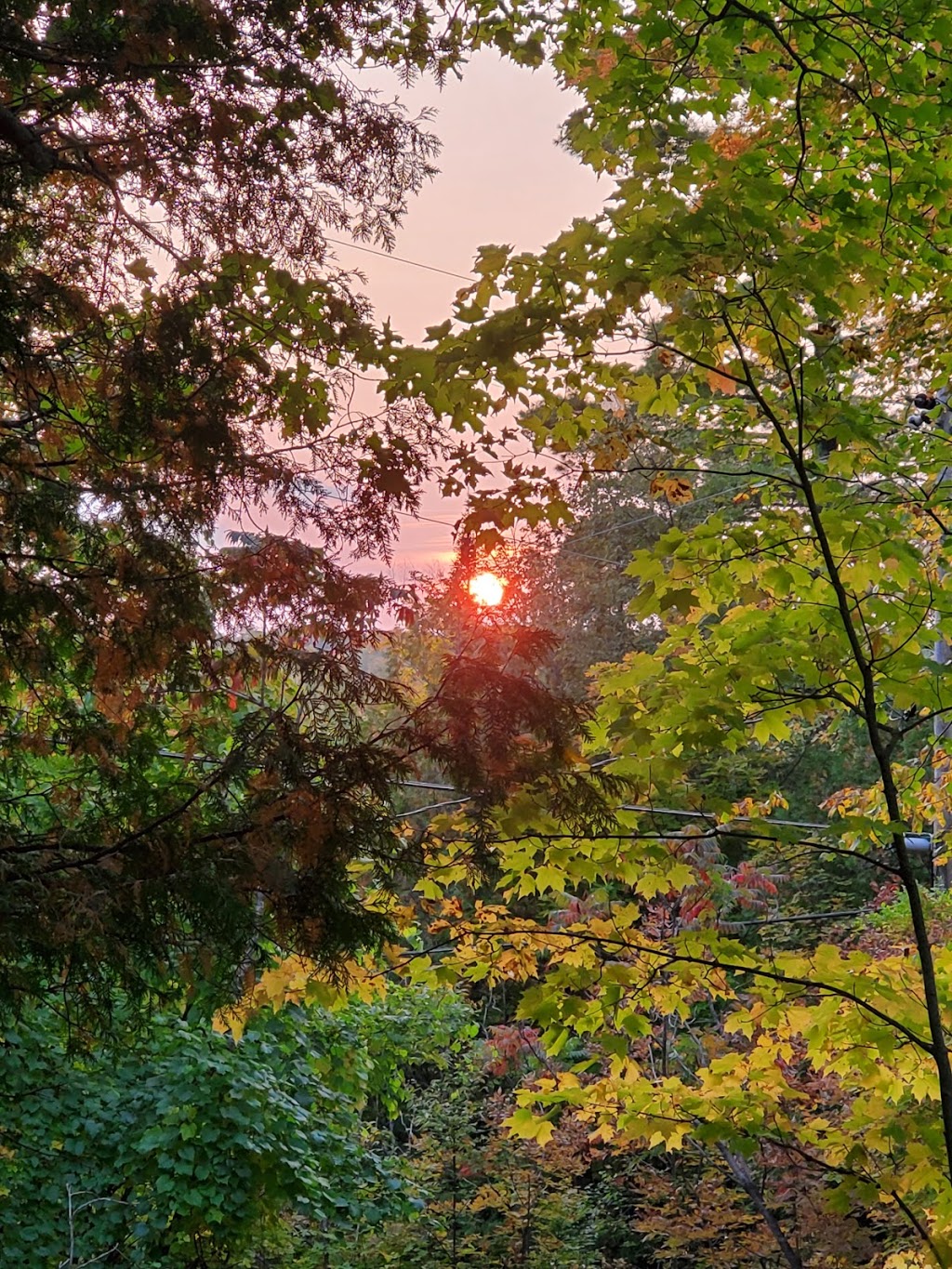 Gillespies Wilderness Wonderland Family Campground | 1170, 1171 Dokken Rd, Perth, ON K7H 3E3, Canada | Phone: (613) 267-3711