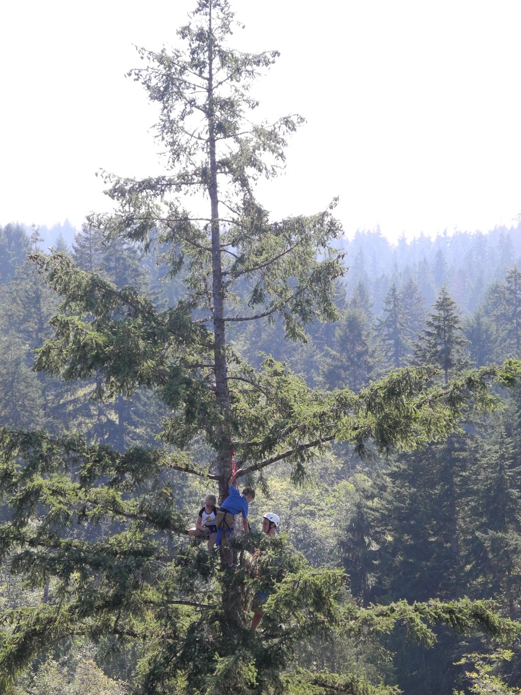 AdventureTerra LLC | 41020 WA-20, Oak Harbor, WA 98277, USA | Phone: (206) 914-8613