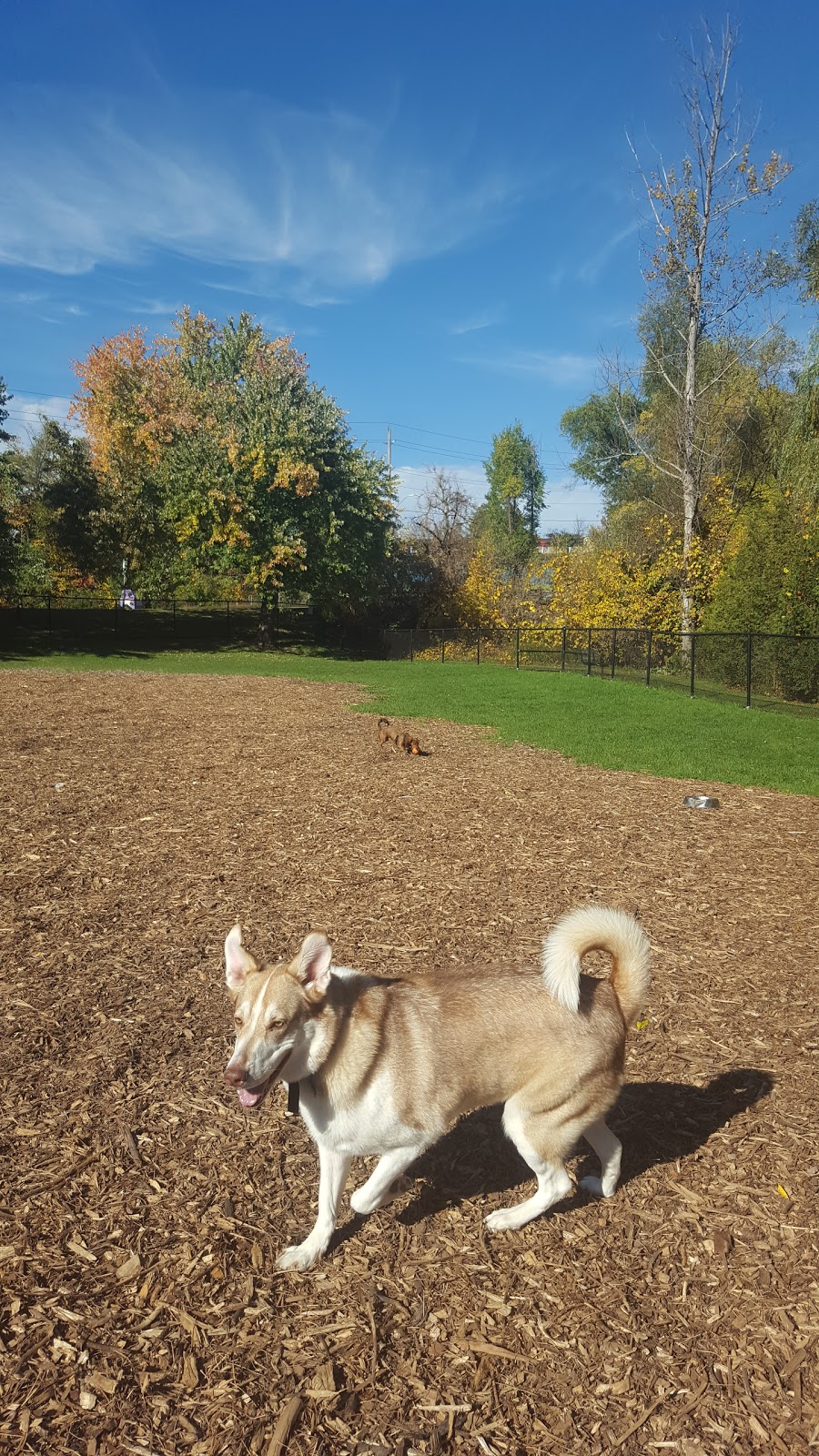 Cedarvale Park | Georgetown, ON L7G 5S2, Canada