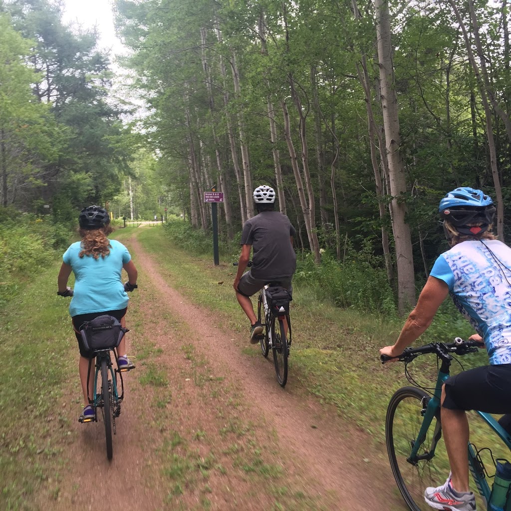 The Bike Shop in Gravenhurst | 191 Sharpe St E, Gravenhurst, ON P1P 1J2, Canada | Phone: (705) 687-7433
