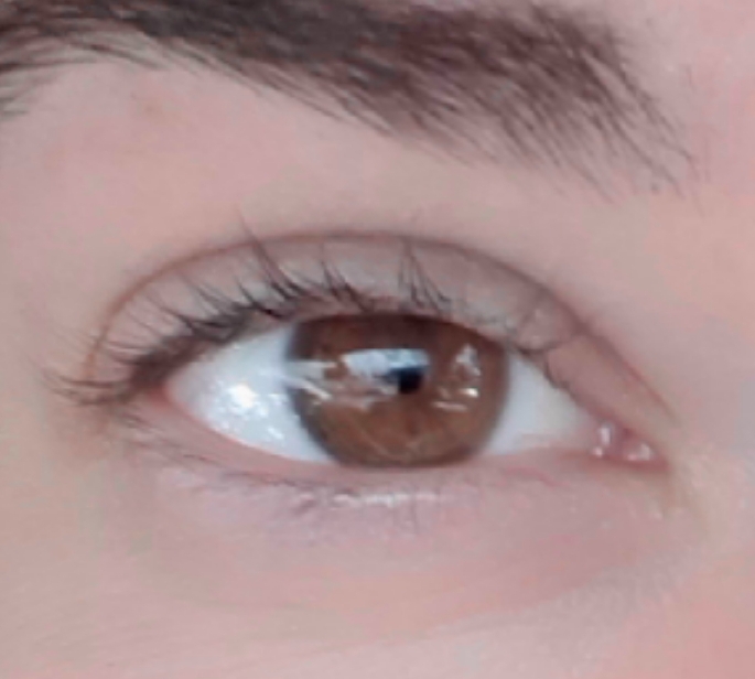 Lash Up | 220 Lakeland Dr #810, Sherwood Park, AB T8H 0N6, Canada | Phone: (780) 449-2896