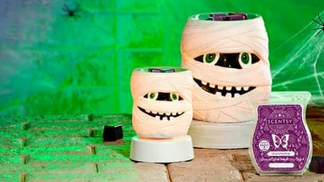 Independent Scentsy Consultant–Bobby W | Sunnidale Tosorontio Townline, New Lowell, ON L0M 1N0, Canada | Phone: (705) 220-8999