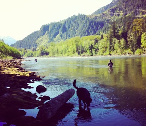 Chromer Sport Fishing | 942 Belvedere Dr, North Vancouver, BC V7R 2C1, Canada | Phone: (604) 366-3363