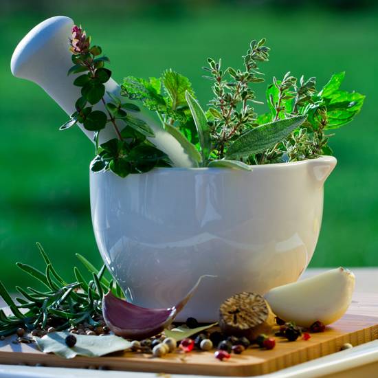 Acupuncture Maca | 3180 Chem. de Chambly #305, Longueuil, QC J4L 1N6, Canada | Phone: (450) 693-0796