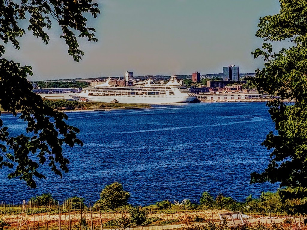 NSCC - Ivany Campus | 80 Mawiomi Pl, Dartmouth, NS B2Y 0A5, Canada | Phone: (902) 491-1100