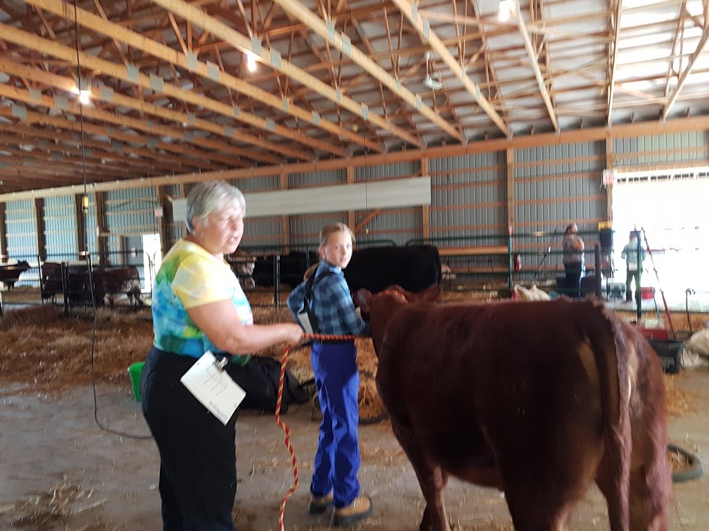 Greenwood Arena | 4065 Dufferin Ave, Petrolia, ON N0N 1R0, Canada | Phone: (519) 882-1570