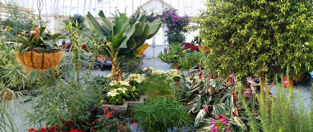 Westmount Conservatory and Greenhouses | 4626 Rue Sherbrooke O, Westmount, QC H3Z 2Z8, Canada | Phone: (514) 989-5230