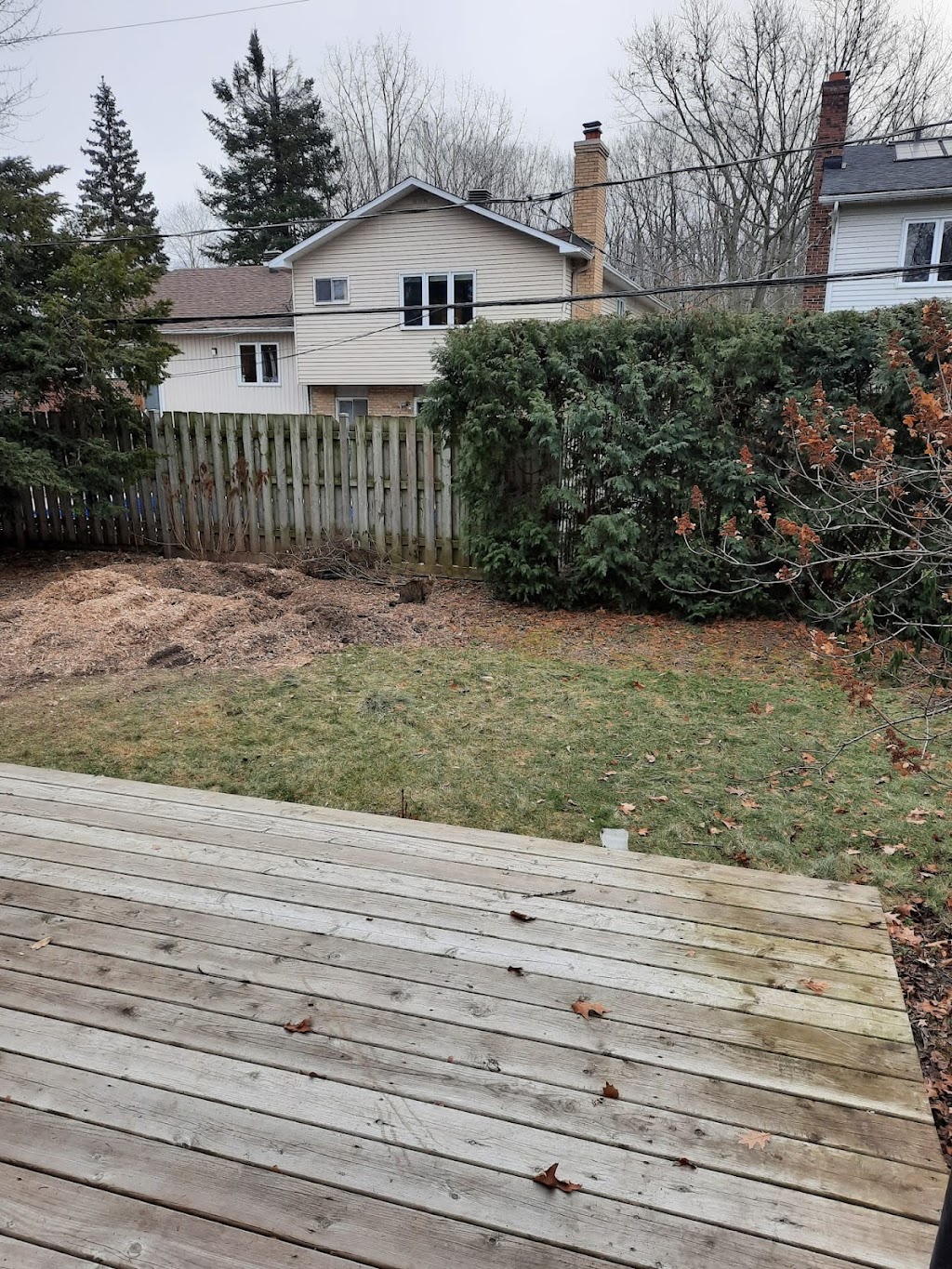 Arboriculture de Beauce | 364E Route-du-Président-Kennedy, Beauceville, QC G5X 1N9, Canada | Phone: (418) 774-6217