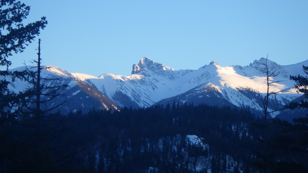 Tyax Heliskiing | 1 Tyaughton Lake Rd, Gold Bridge, BC V0K 1P0, Canada | Phone: (250) 238-2221