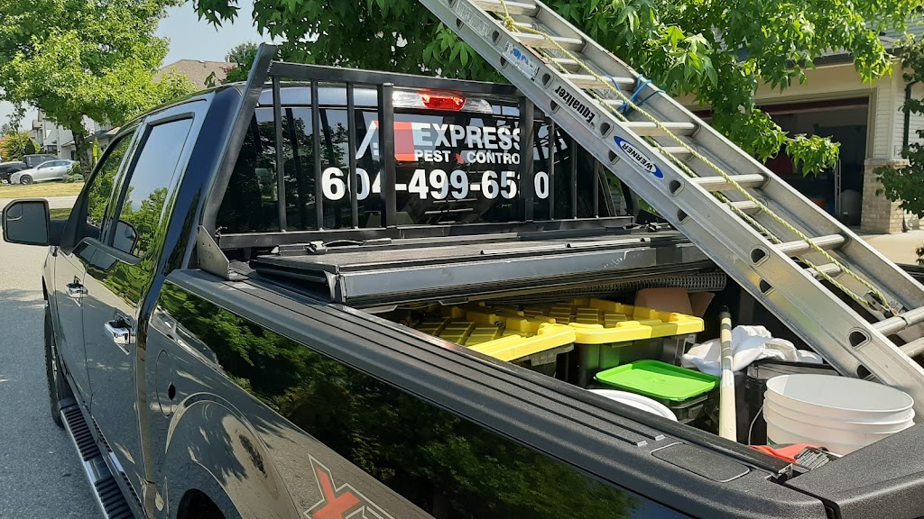 Express Pest Canada - Pitt Meadows-Maple Ridge | 12250 Mcmyn Ave, Pitt Meadows, BC V3Y 1C8, Canada | Phone: (604) 499-6530