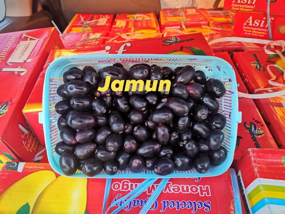 Mango Importer | 13605 Hurontario St, Inglewood, ON L7C 2C9, Canada | Phone: (647) 997-4138