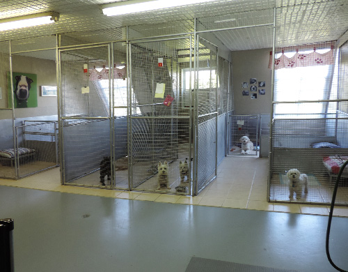 Centre Canin Laka | 494 Chemin Bella-Vista, Saint-Basile-le-Grand, QC J3N 1M4, Canada | Phone: (450) 653-5150