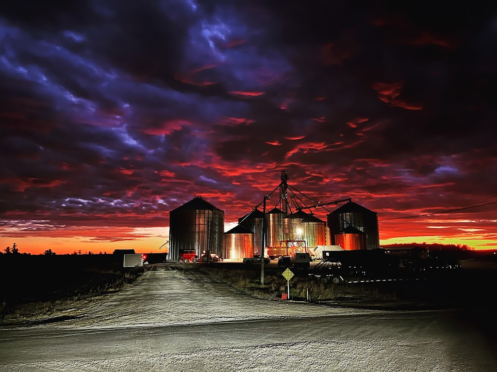 RM lang farm | 45 Chem. Hanna C, Shawville, QC J0X 2Y0, Canada | Phone: (613) 324-0133