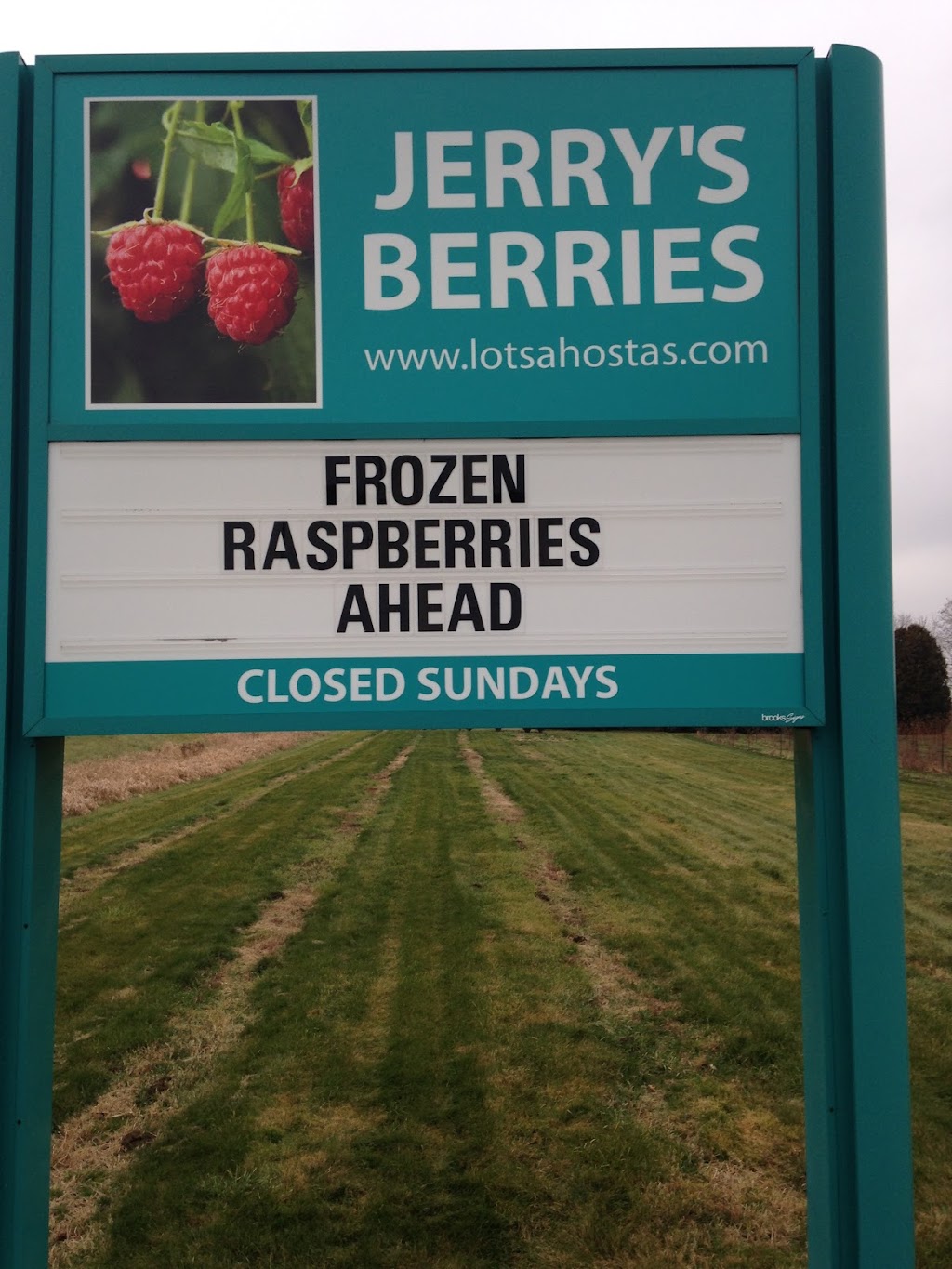 Jerrys Berries | point of interest | 15 Orkney Rd, Lynden, ON L0R 1T0, Canada | 5196472815 OR +1 519-647-2815