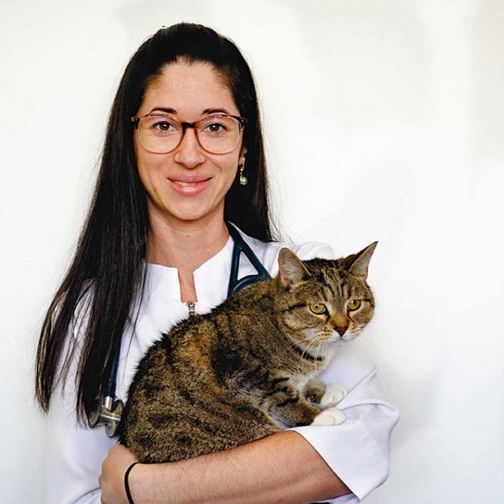 Clinique Vétérinaire Beauharnois | 485 Boulevard Cadieux, Beauharnois, QC J6N 0S7, Canada | Phone: (450) 289-1177