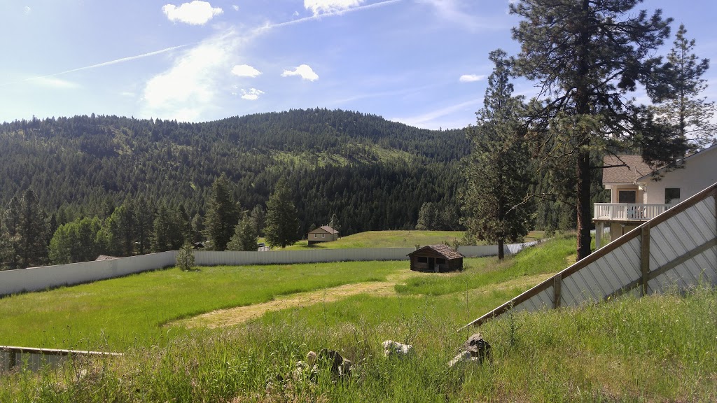 BloominYoga | Rock Creek, BC V0H 1Y0, Canada | Phone: (250) 446-2464