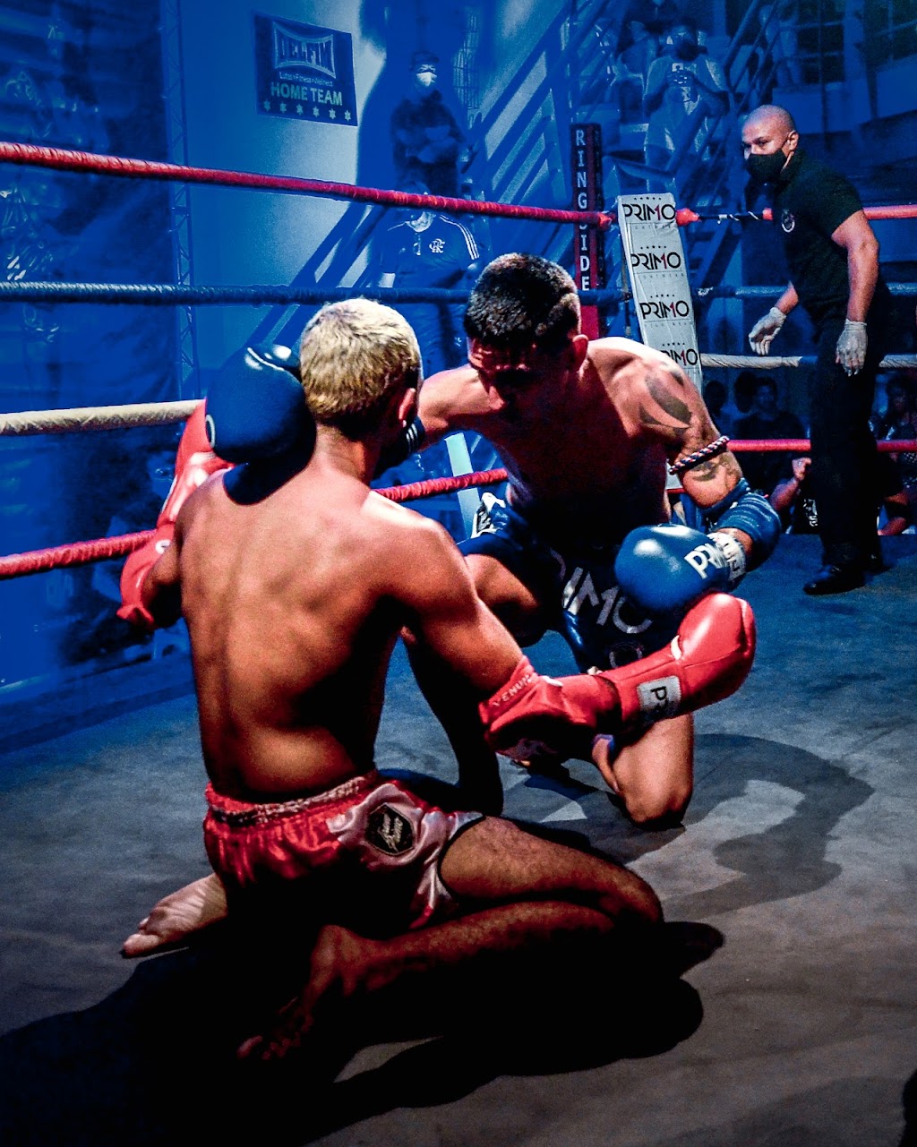 Toronto Fight Shop | 486 Evans Ave. Unit 11, Etobicoke, ON M8W 2T7, Canada | Phone: (647) 231-6711