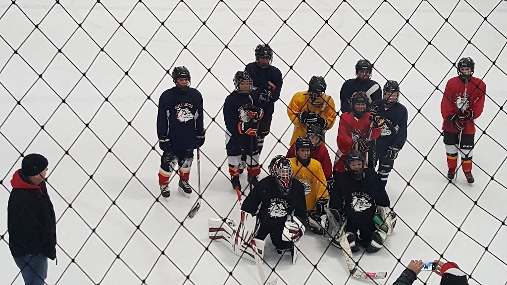 Excellent Ice | 15000 54a Ave, Surrey, BC V3S 5X7, Canada | Phone: (604) 576-0009