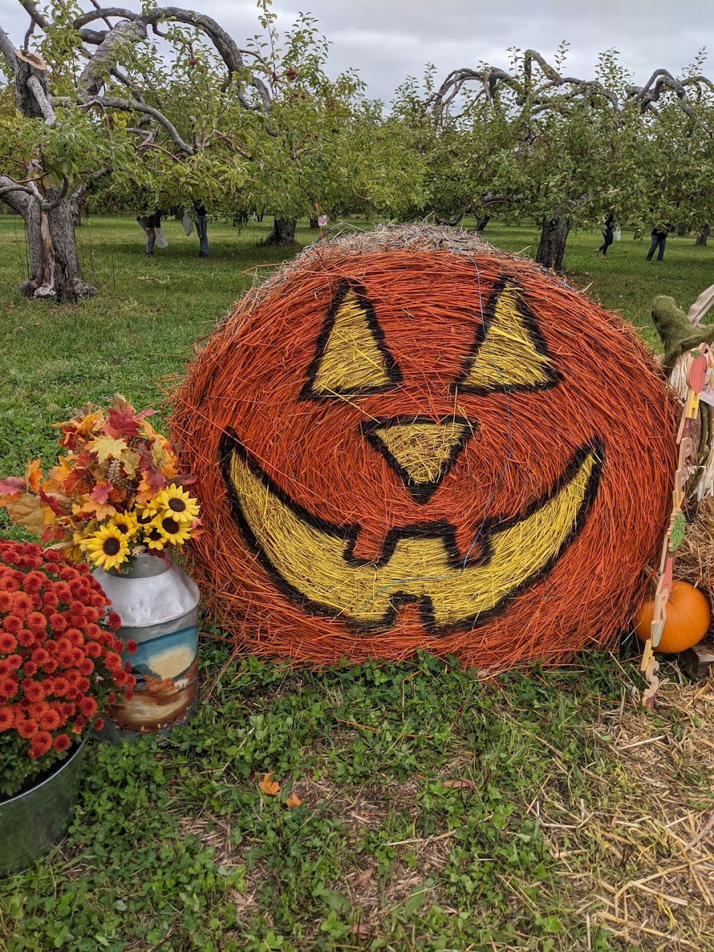 Bostwicks U-Pick Apples | 3469, NB-845, Long Reach, NB E5S 1X5, Canada | Phone: (506) 763-2943