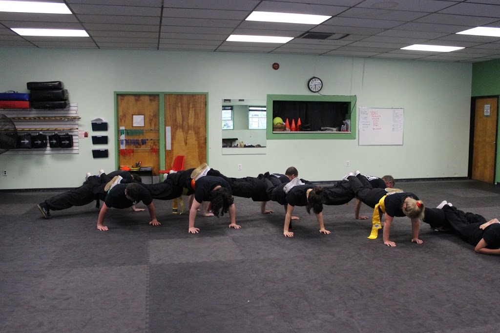 Niagara Kung Fu Academy | 4337 Fourth Ave, Niagara Falls, ON L2E 4N1, Canada | Phone: (905) 357-9146