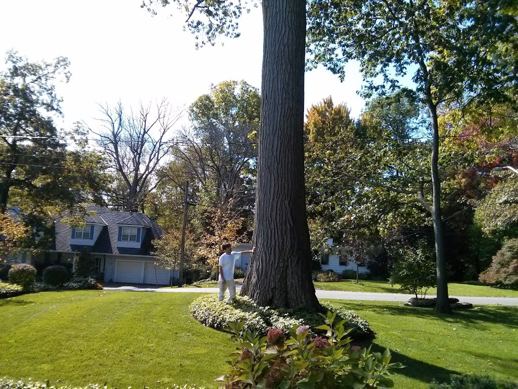 Ecopainting Inc | 4255 Sherwoodtowne Blvd #104a, Mississauga, ON L4Z 2G6, Canada | Phone: (905) 896-2949