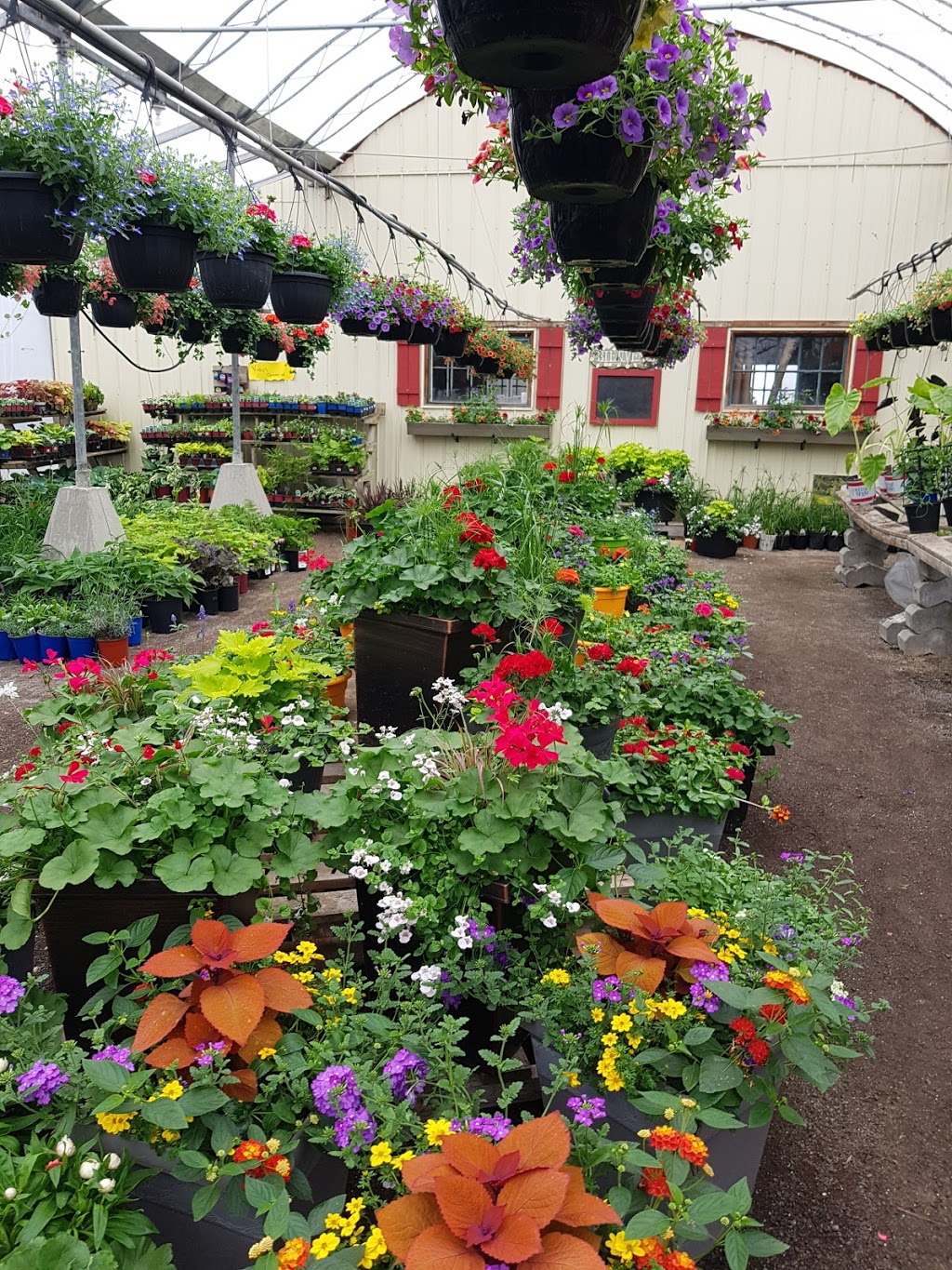 Serres & Pepiniere Champlain | 506 Rang Palmer, Saint-Sébastien, QC J0J 2C0, Canada | Phone: (450) 244-5891