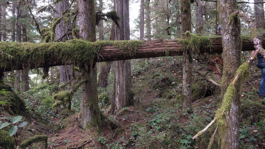 Weaver Lake Campground | Unnamed Rd, 1A1, Agassiz, BC V0M 1A1, Canada