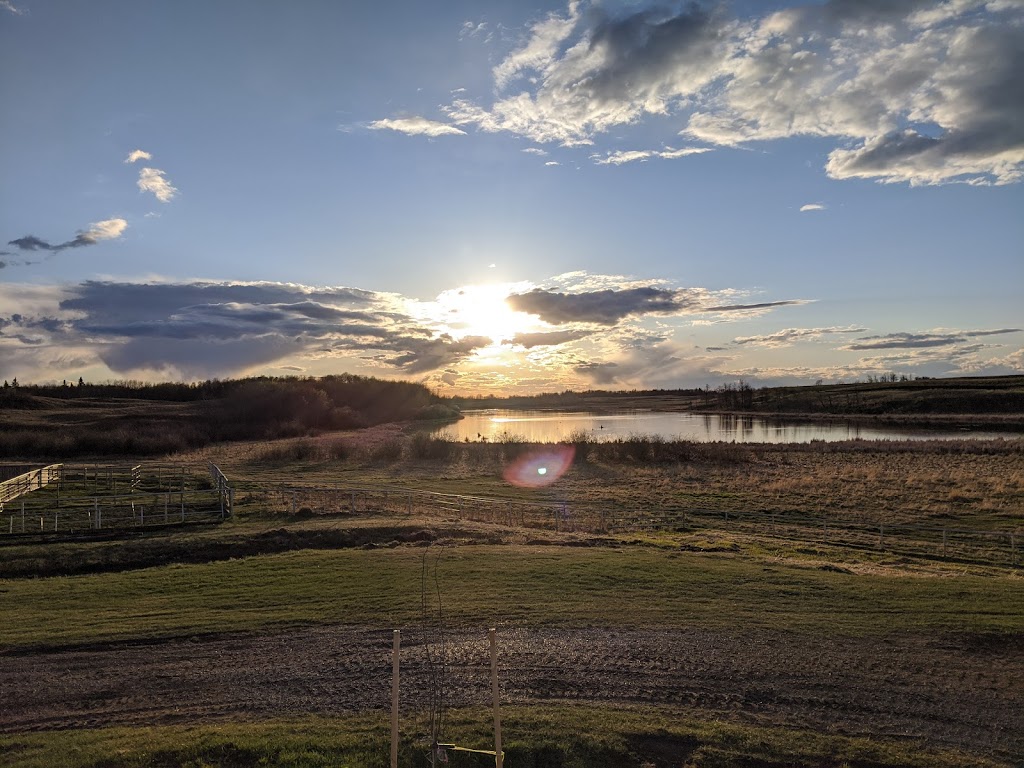 Tomanek Farms Ltd | 52026 Range Road 222, Sherwood Park, AB T8C 1A2, Canada | Phone: (780) 922-2166