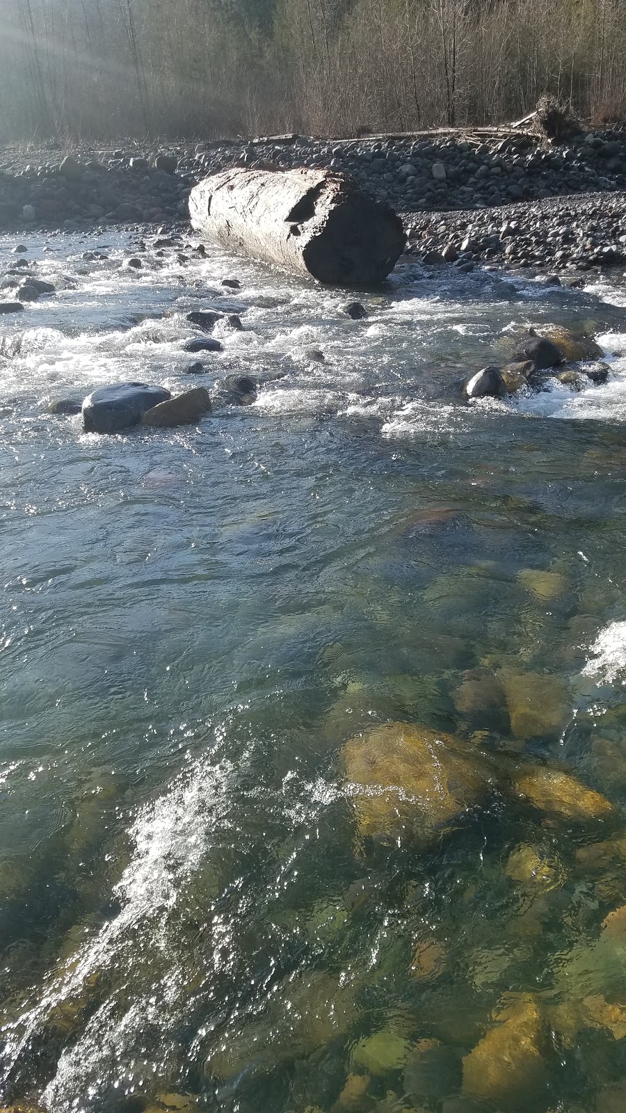 Baker-Snoqualmie National Forest | WA-542, Deming, WA 98244, USA | Phone: (800) 627-0062