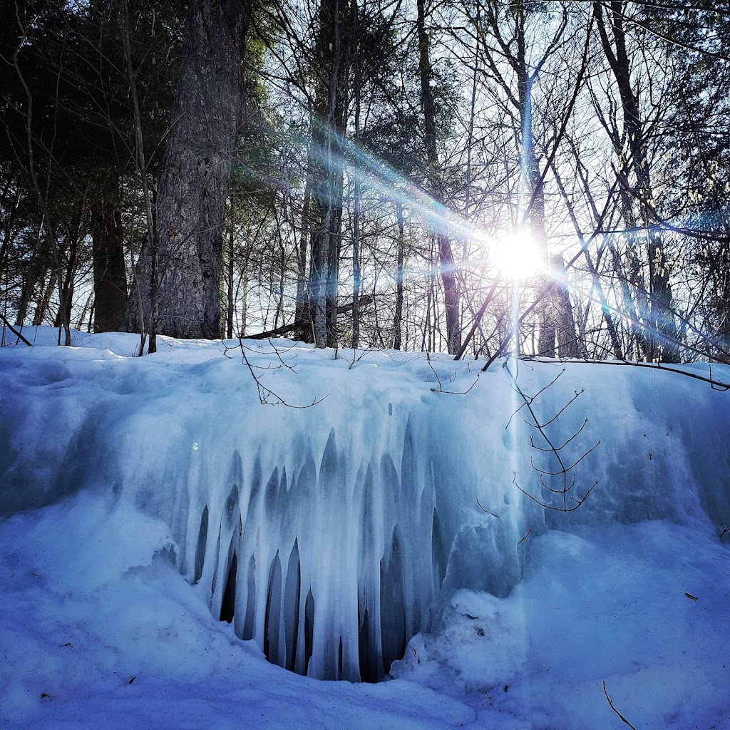 district petite nation | 168 Chem. de la Petite-Nation, Chénéville, QC J0V 1E0, Canada | Phone: (418) 326-6400