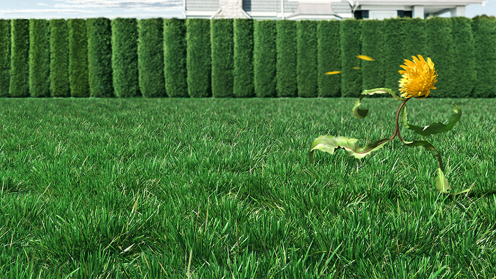 Green Drop Lawns Ltd | 1230 Meridian Rd NE, Calgary, AB T2A 2N9, Canada | Phone: (877) 647-3366