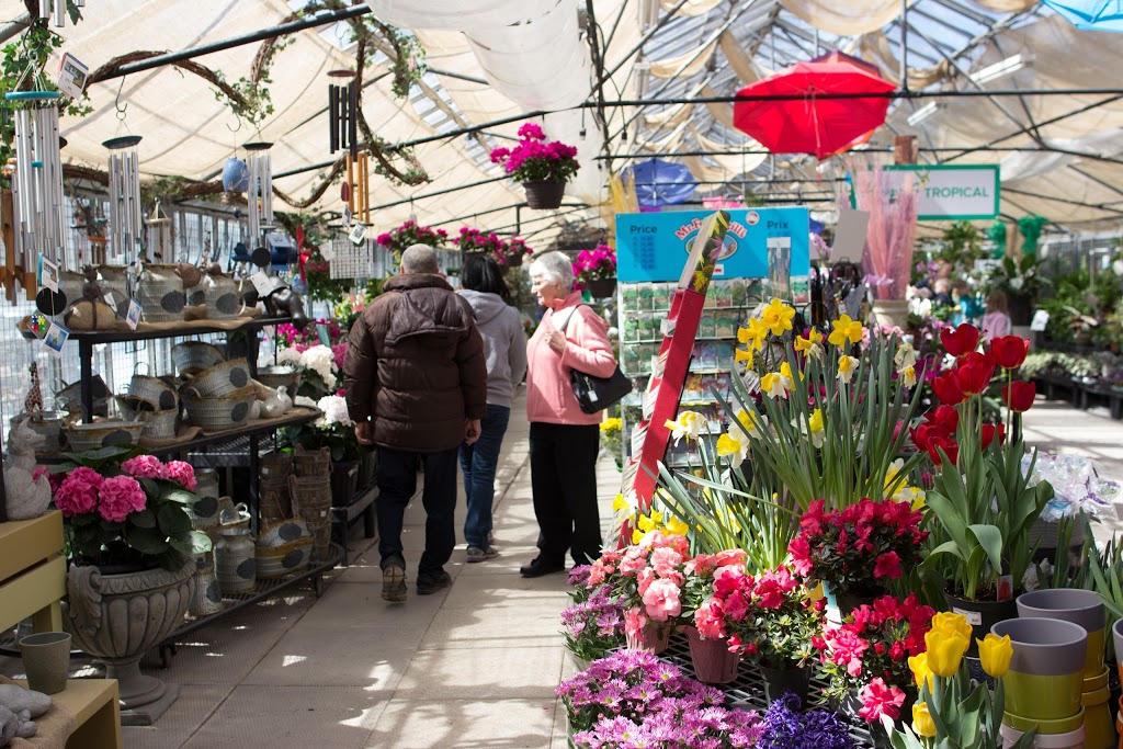 Harpers Garden Centre | 1039 Wilson Street East, Ancaster, ON L9H 5E3, Canada | Phone: (905) 648-2157