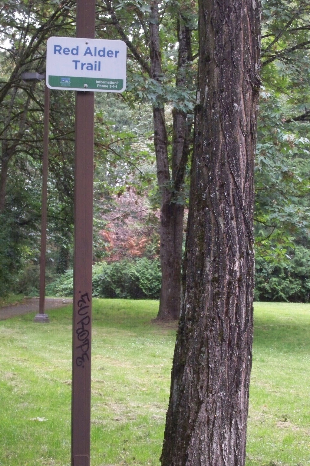 Champlain Heights Trails | Douglas Fir Trail, Vancouver, BC V5S 3Y5, Canada | Phone: (604) 873-7000