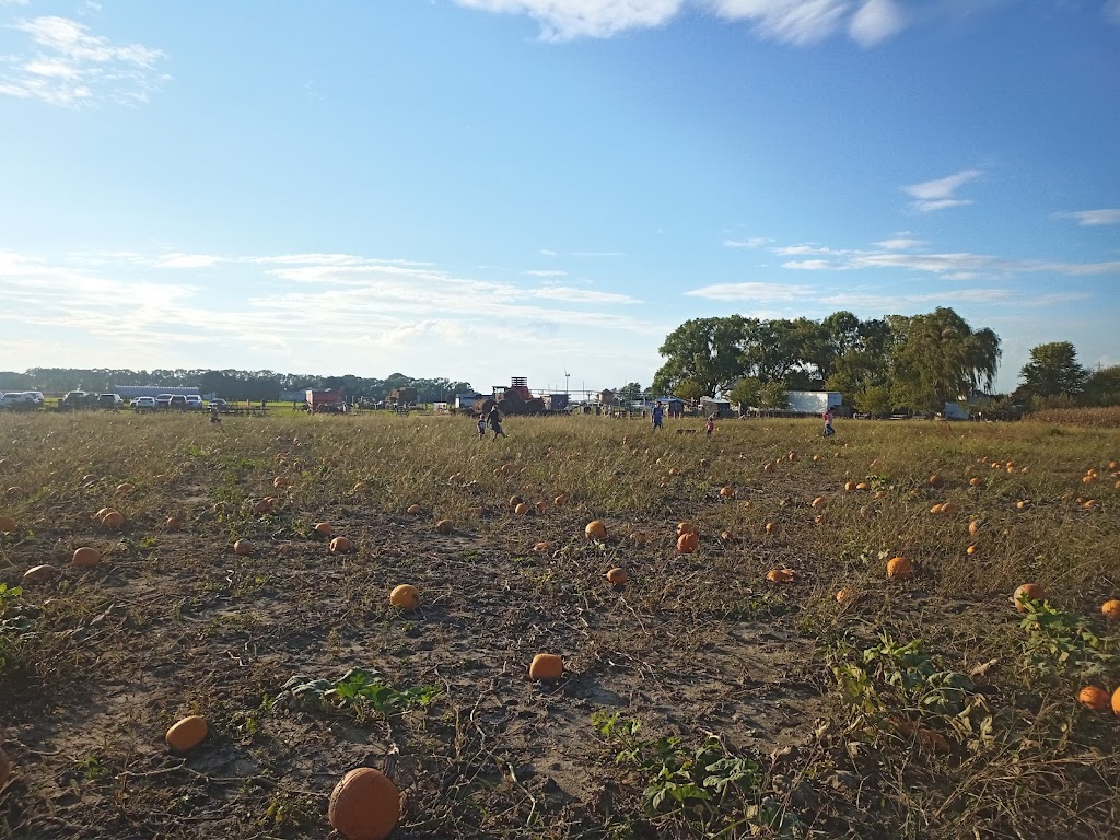 THE TILBILLY HALLOWEEN VILLAGE | 17825 Tecumseh Rd, Tilbury, ON N0P 2L0, Canada | Phone: (519) 437-8701