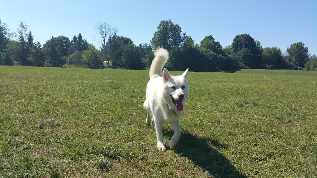 Andy Shields Park | 1455 Old Prescott Rd, Greely, ON K4P 1A7, Canada | Phone: (613) 580-2400