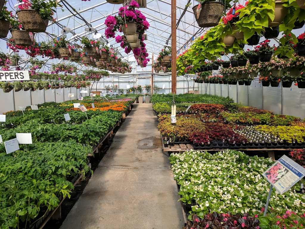 Shady Lanes Greenhouse & Perenials | point of interest | 6158 Weisenberg Rd, West Montrose, ON N0B 2V0, Canada | 5198462972 OR +1 519-846-2972