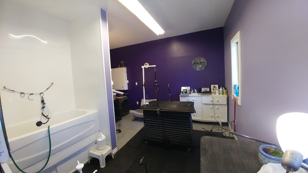 Barks of Bayfield | 15 Fry St, Bayfield, ON N0M 1G0, Canada | Phone: (519) 565-4106