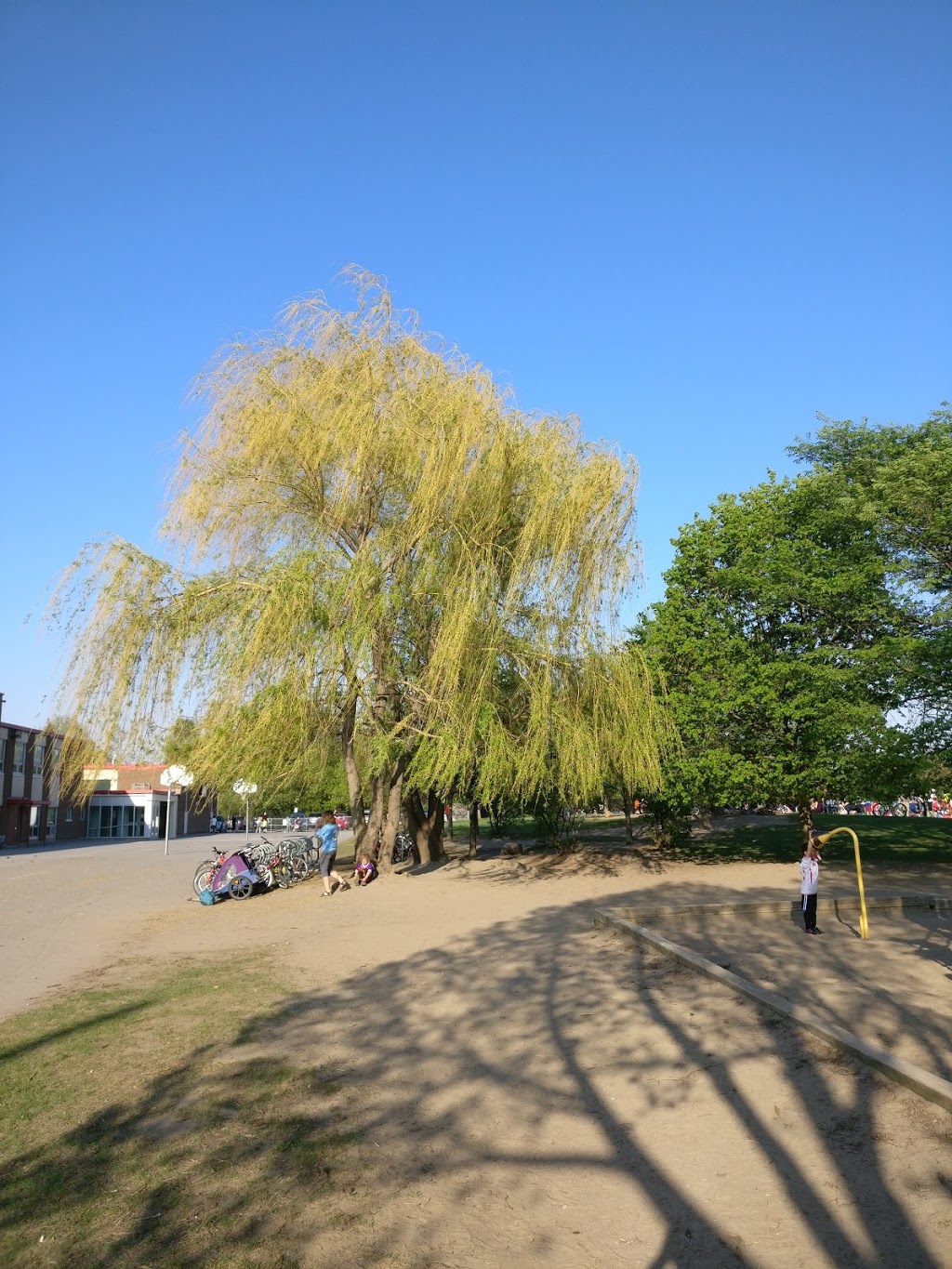 Rabbi Bulka Kindness Park | Ottawa, ON K1H 6S2, Canada | Phone: (613) 580-2595