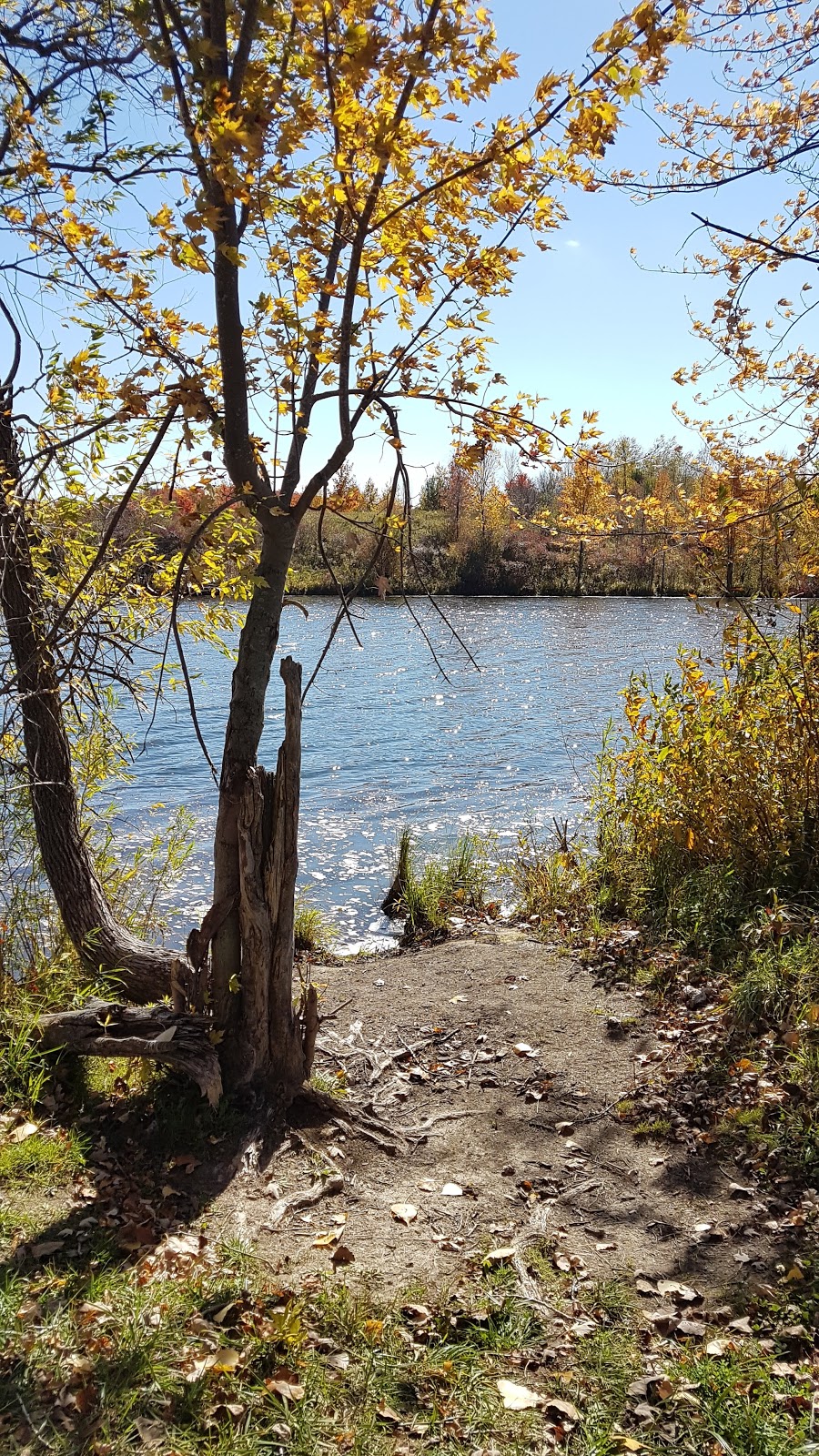 Lake Wawanosh Conservation Area | 85442 Creek Line, Lucknow, ON N0G 2H0, Canada | Phone: (519) 335-3557