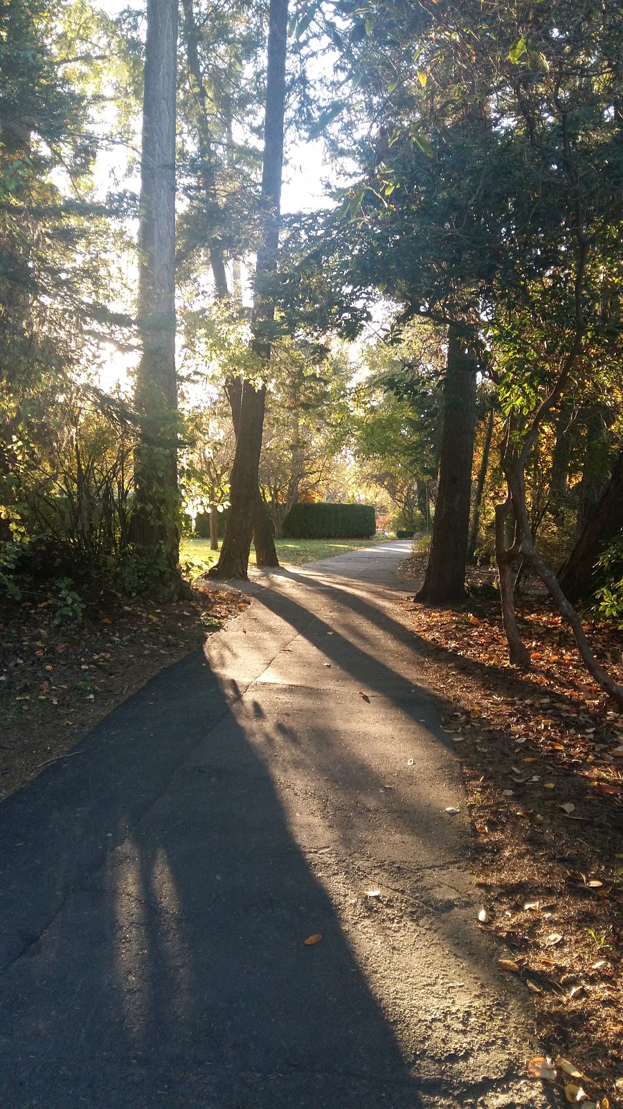 Gorge Park | 1070 Tillicum Rd, Victoria, BC V9A 2A1, Canada | Phone: (250) 412-8500