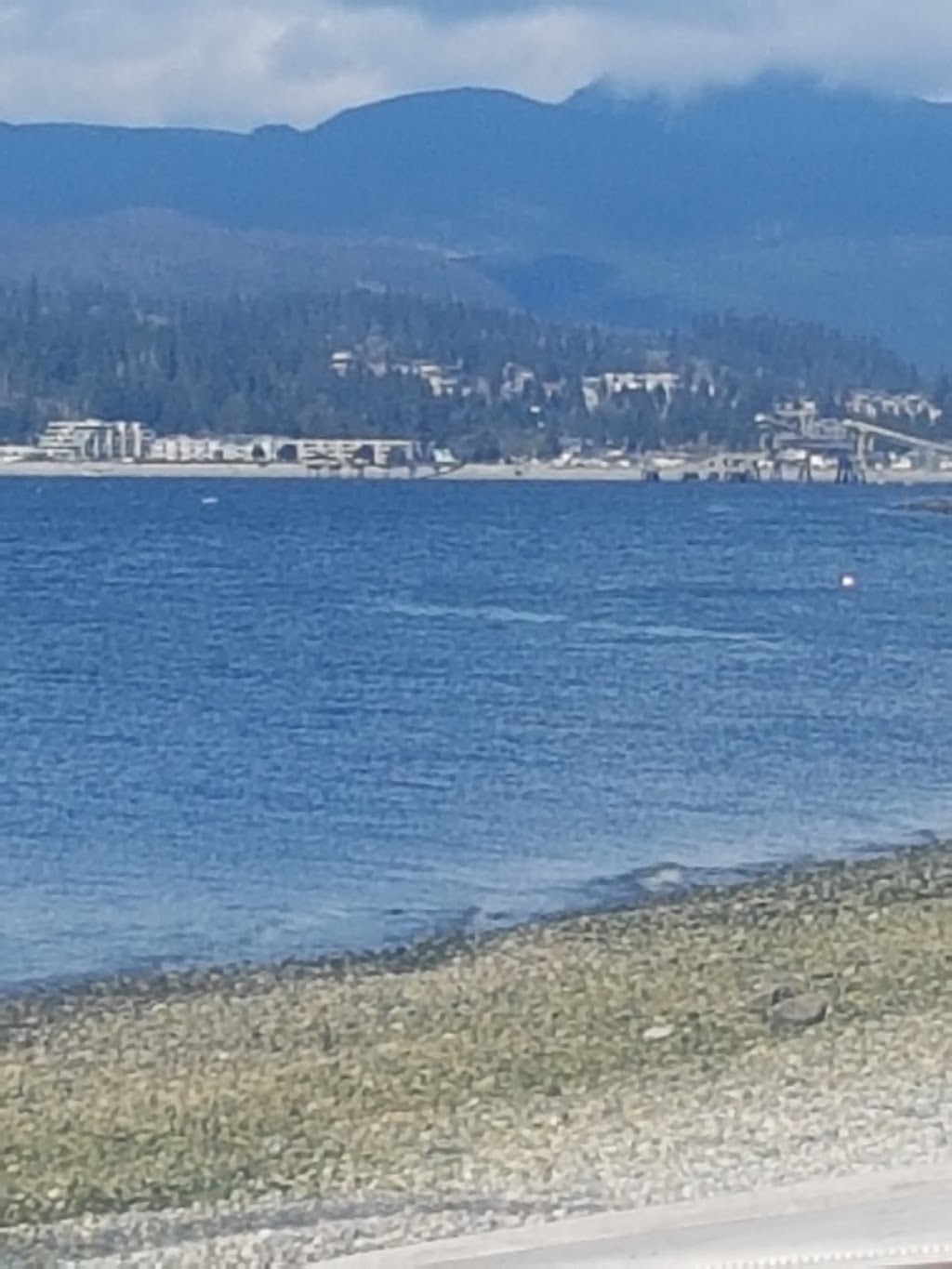 Wheatberries Bakery | 4786 Sunshine Coast Hwy, Sechelt, BC V0N 3A2, Canada | Phone: (604) 741-0553