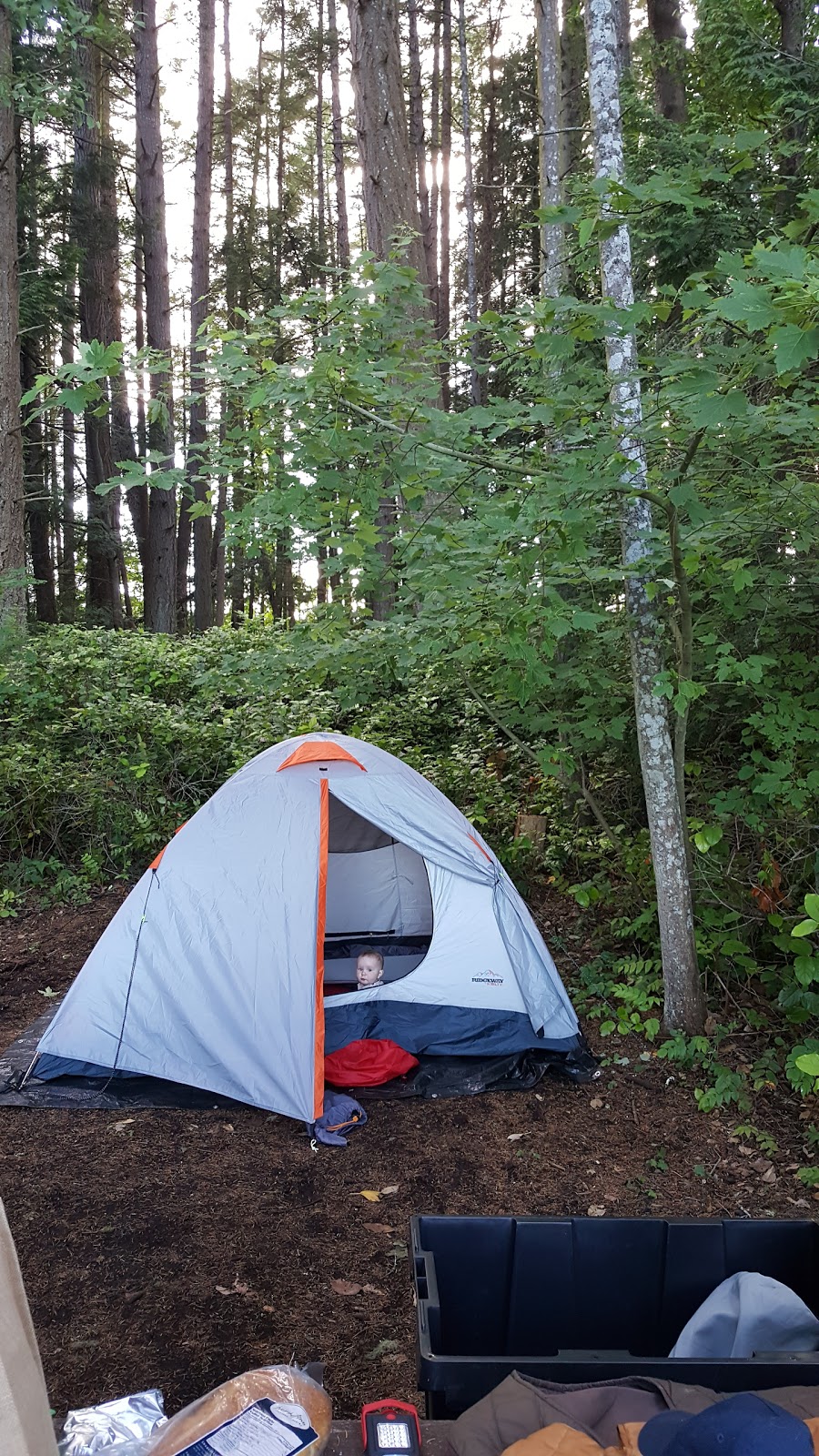 Mayne Island Camping | 359 Maple Dr, Mayne Island, BC V0N 2J2, Canada | Phone: (250) 889-7366