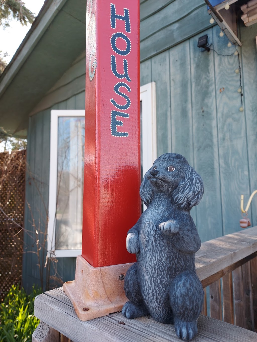Country Dog House Grooming Salon | 864 Innisfil Beach Rd, Innisfil, ON L9S 2C2, Canada | Phone: (705) 431-4050