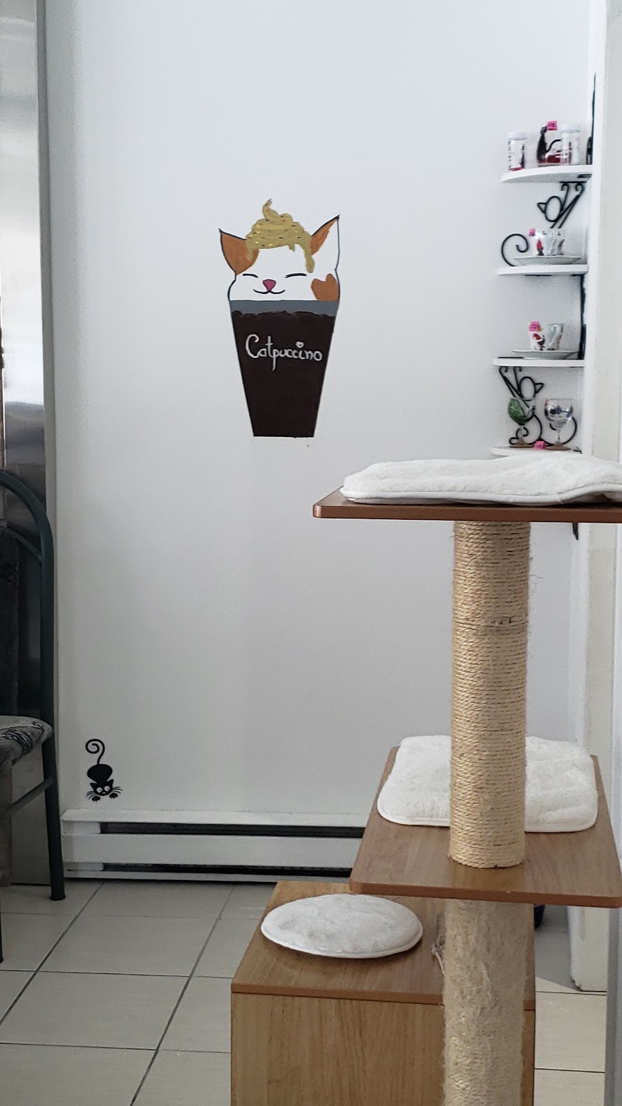 Café félin CRM | 1662 Av. Saint-Louis, Plessisville, QC G6L 2M9, Canada | Phone: (819) 384-2933
